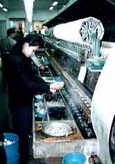 �N�a������